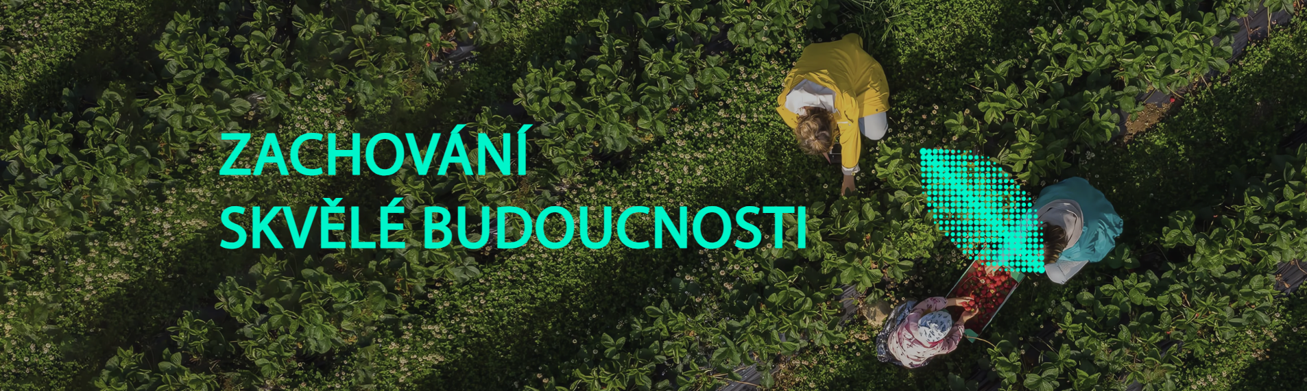 Snímek obrazovky 2026-03-25 132218